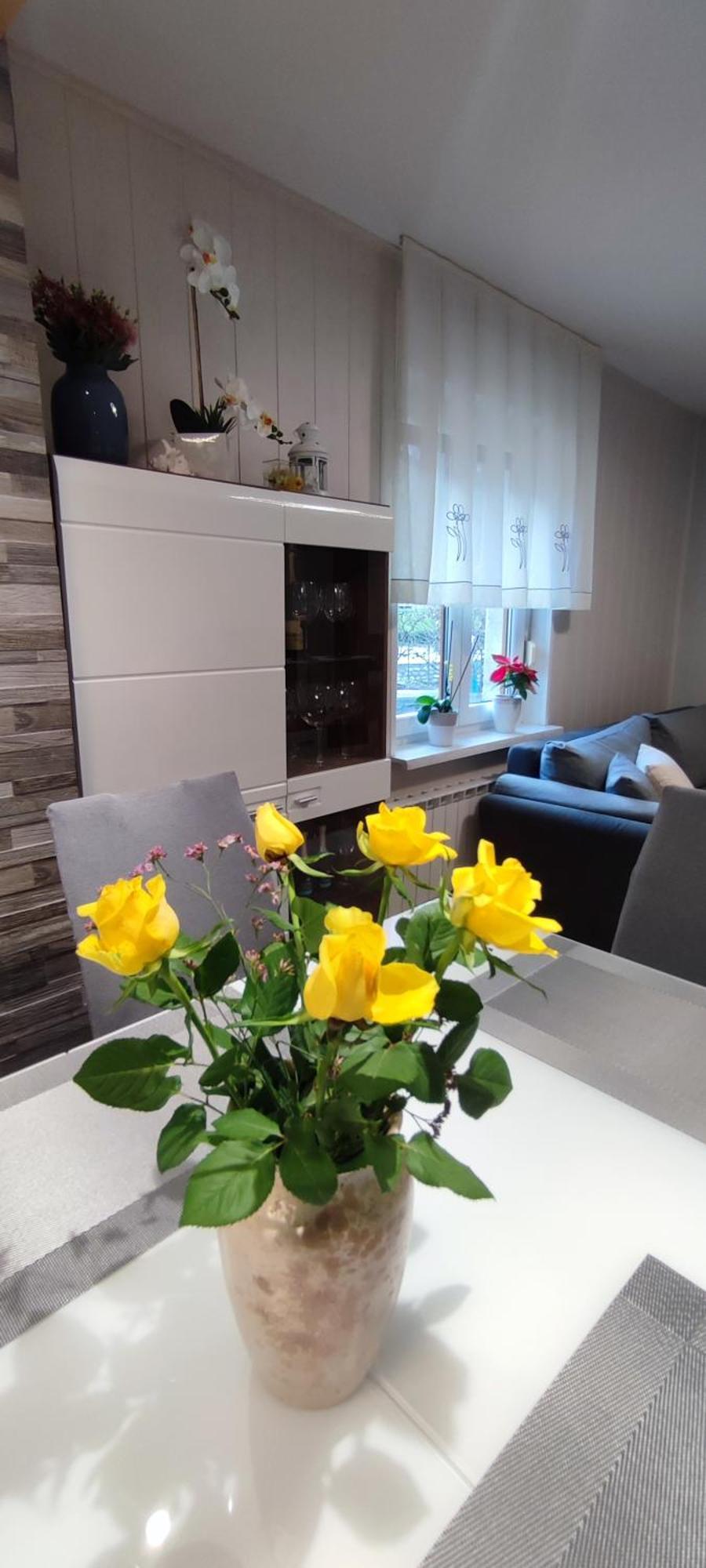 Apartma Soca Oasis Srpenica エクステリア 写真